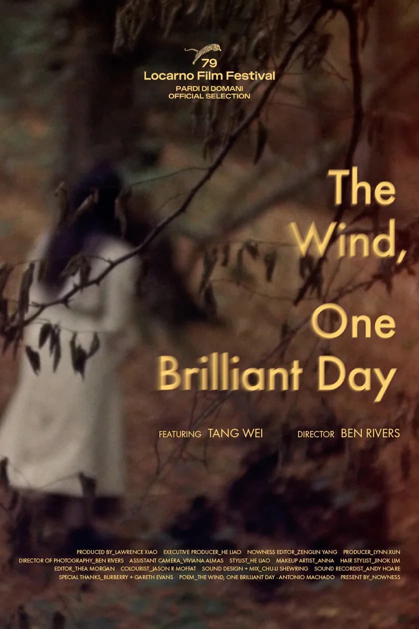 The Wind, One Brilliant Day backdrop